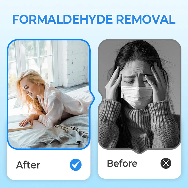 🔥New Year's Special Offer:50% OFF🎉Anti-Formaldehyde Air Purifier for Home - Image 3