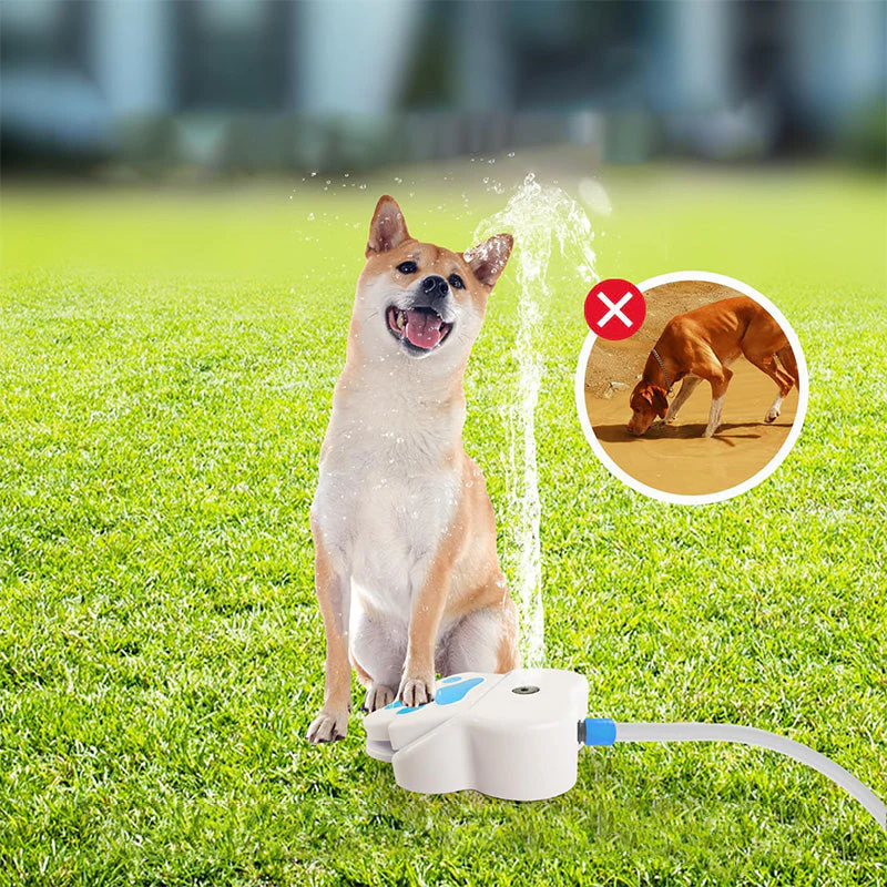 🐾💧⛲ Dog Paw-Activated Water Fountain 🐶✨ - Image 2
