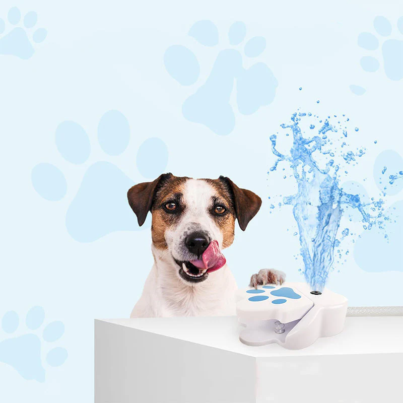 🐾💧⛲ Dog Paw-Activated Water Fountain 🐶✨ - Image 3