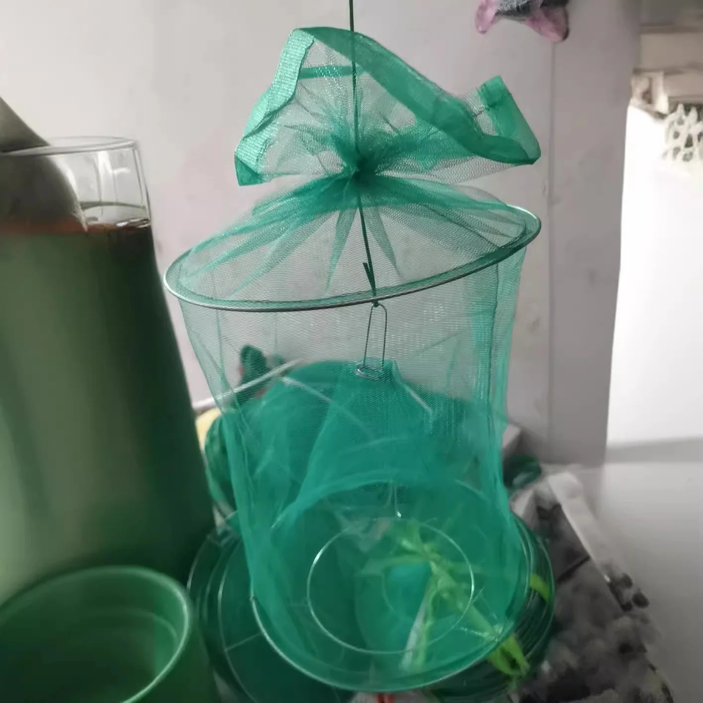 Fast Fly Catcher- 100% Non Toxic - Reusable - Image 9
