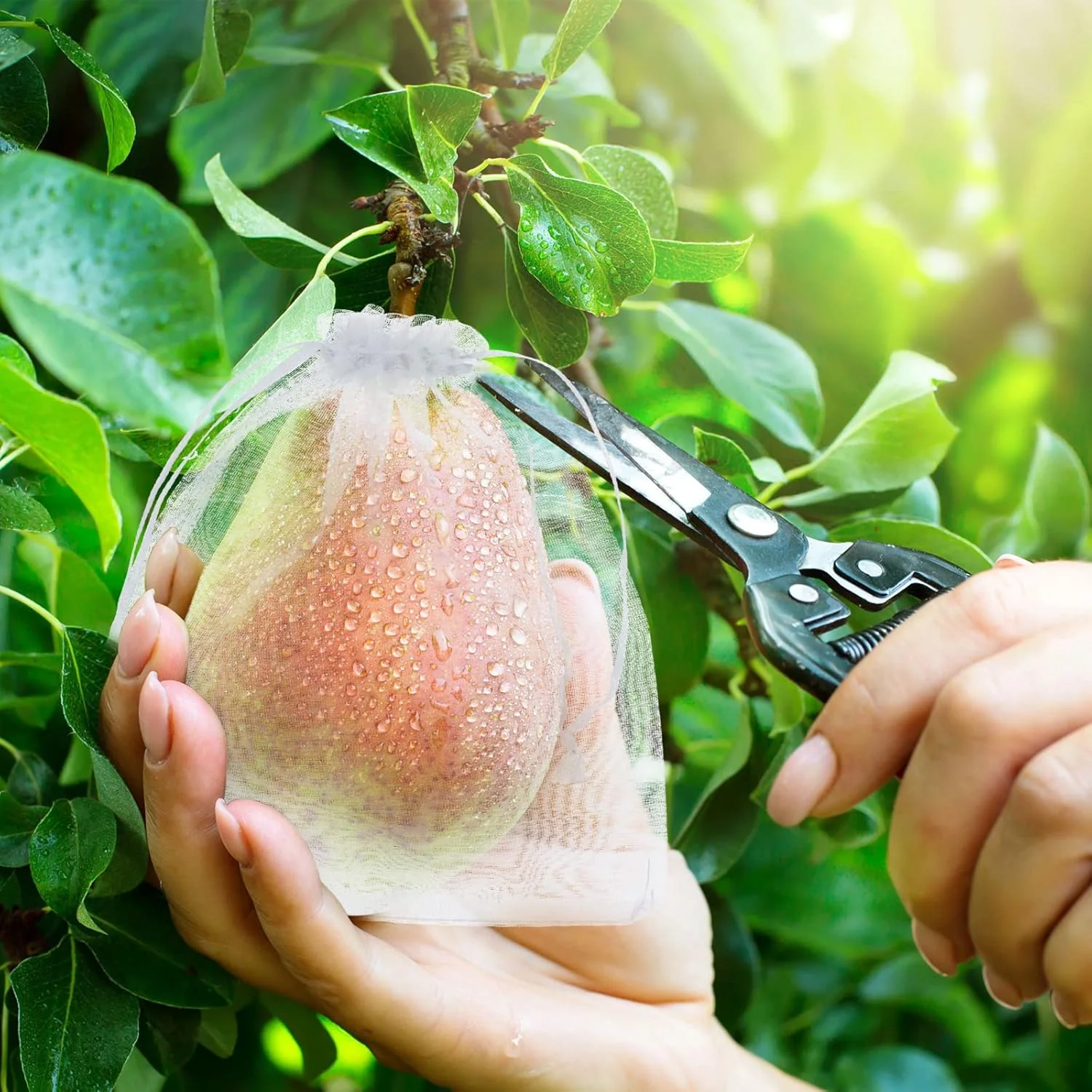 Buy 1 Get 1 Free🎁2026 NEW ARRIVALS 50% OFF🔥Fruit Protection Bags - Image 10