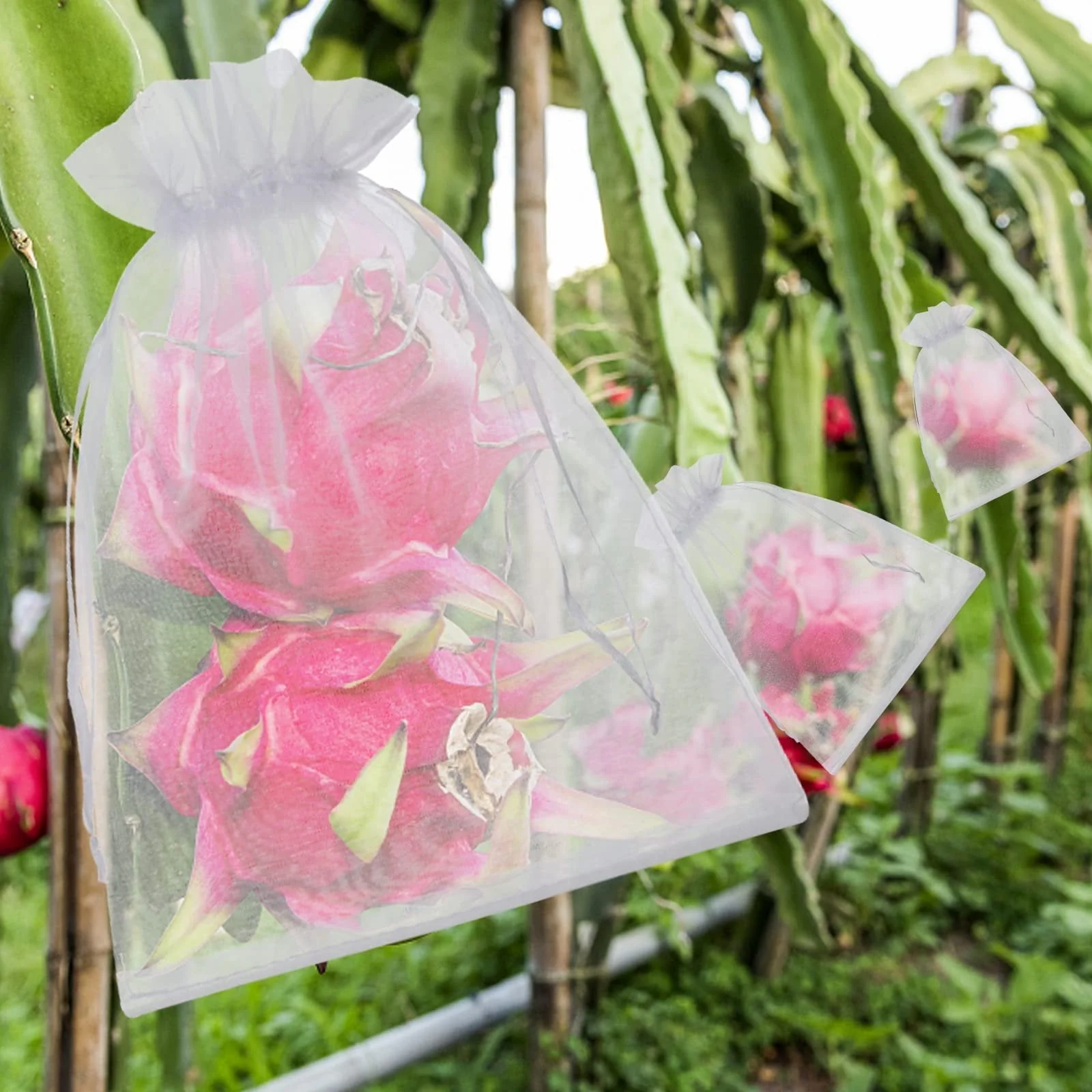 Buy 1 Get 1 Free🎁2026 NEW ARRIVALS 50% OFF🔥Fruit Protection Bags - Image 11