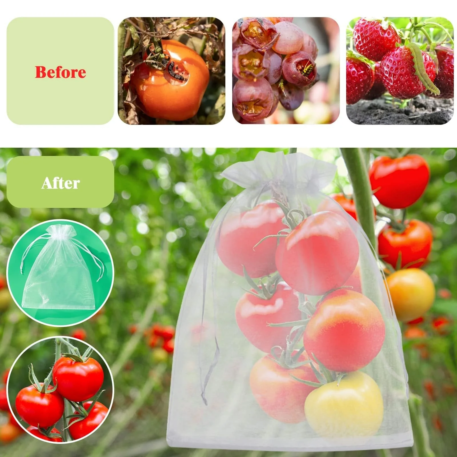 Buy 1 Get 1 Free🎁2026 NEW ARRIVALS 50% OFF🔥Fruit Protection Bags - Image 2