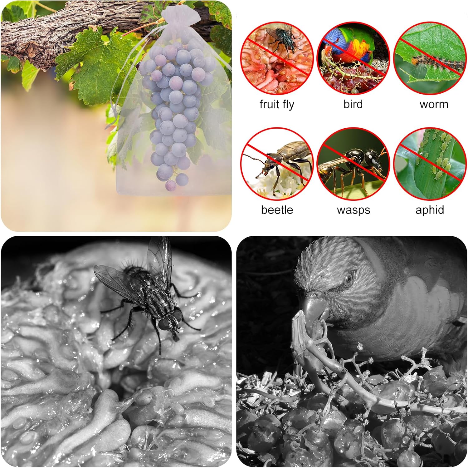 Buy 1 Get 1 Free🎁2026 NEW ARRIVALS 50% OFF🔥Fruit Protection Bags - Image 4