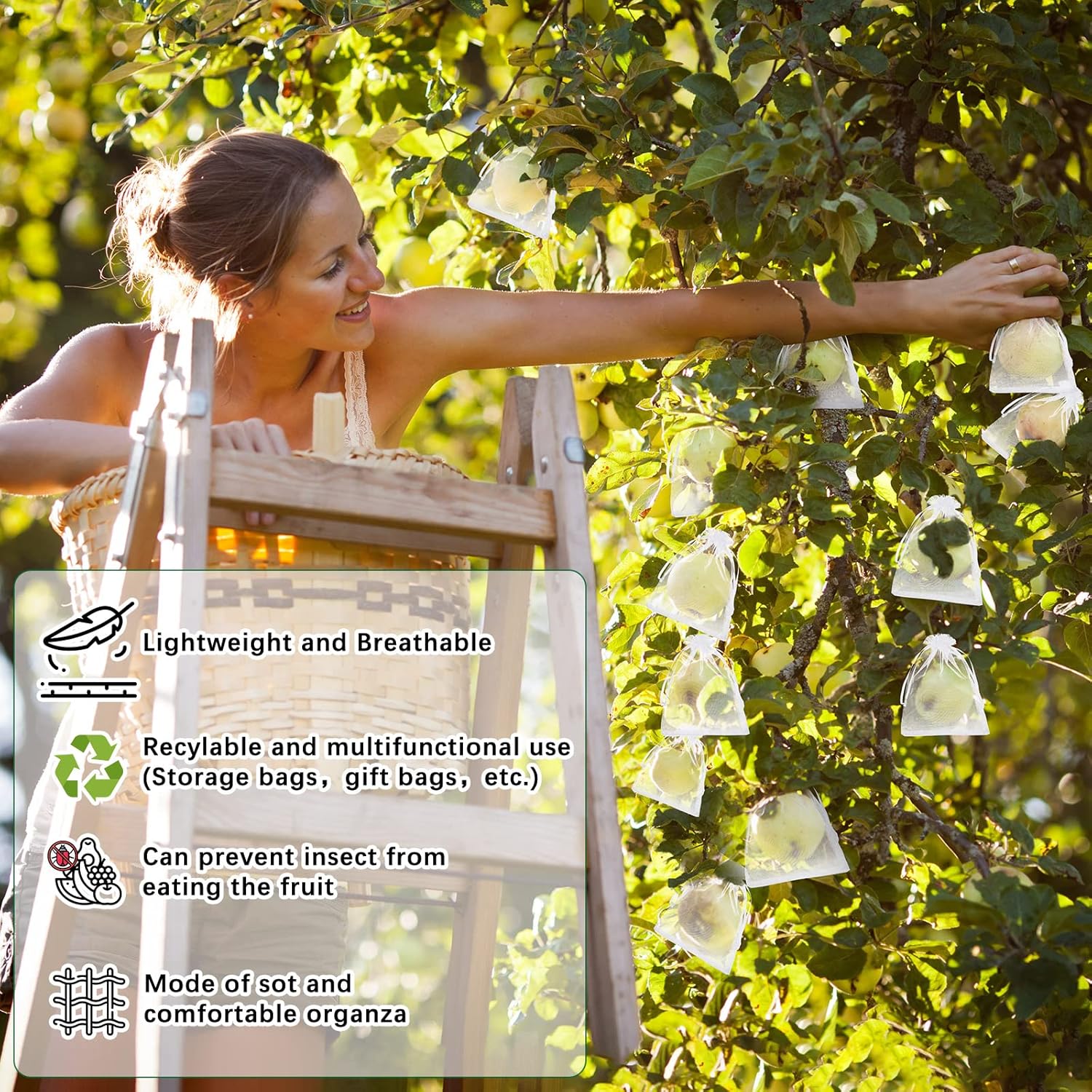 Buy 1 Get 1 Free🎁2026 NEW ARRIVALS 50% OFF🔥Fruit Protection Bags - Image 5