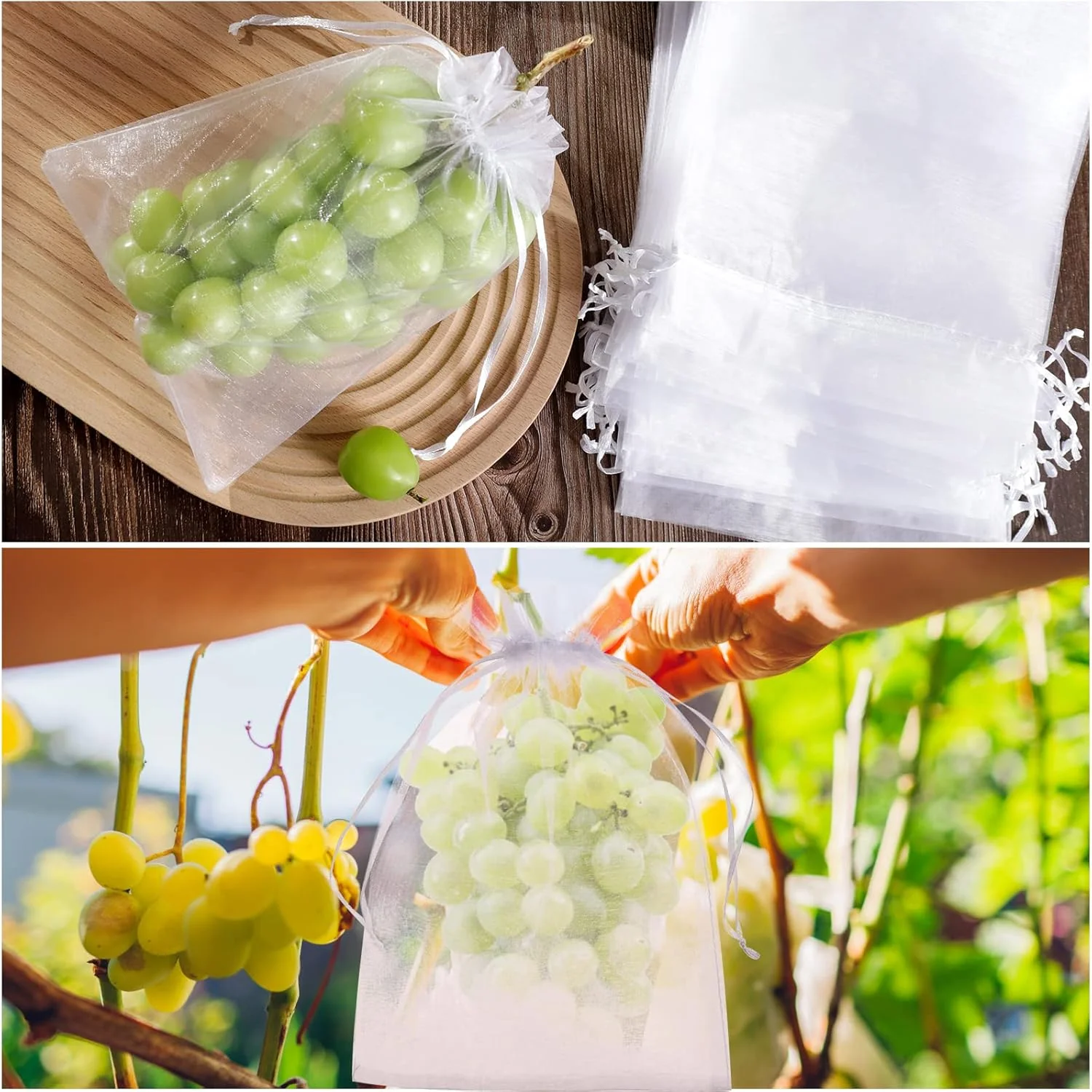 Buy 1 Get 1 Free🎁2026 NEW ARRIVALS 50% OFF🔥Fruit Protection Bags - Image 6