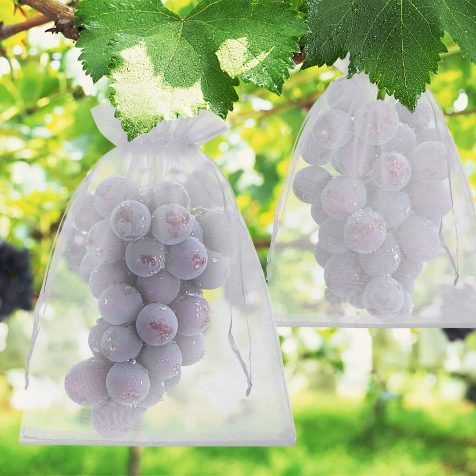 Buy 1 Get 1 Free🎁2026 NEW ARRIVALS 50% OFF🔥Fruit Protection Bags - Image 7