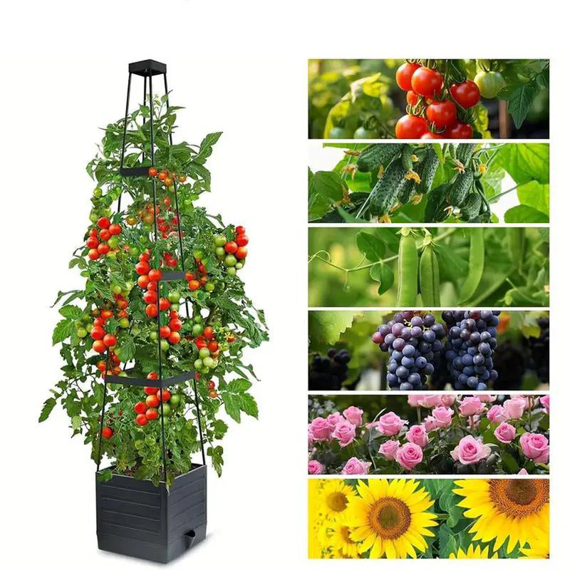 Garden Raised Bed Planter Boxes with Trellis