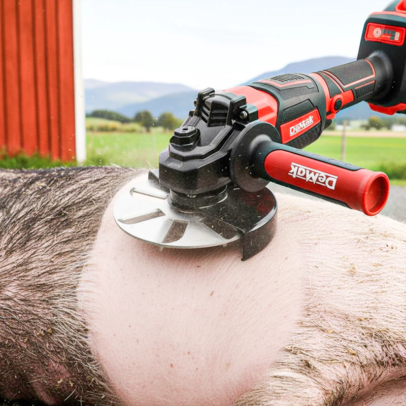 Labor-Saving Pig Hair Remover Scraper Disc - Image 4
