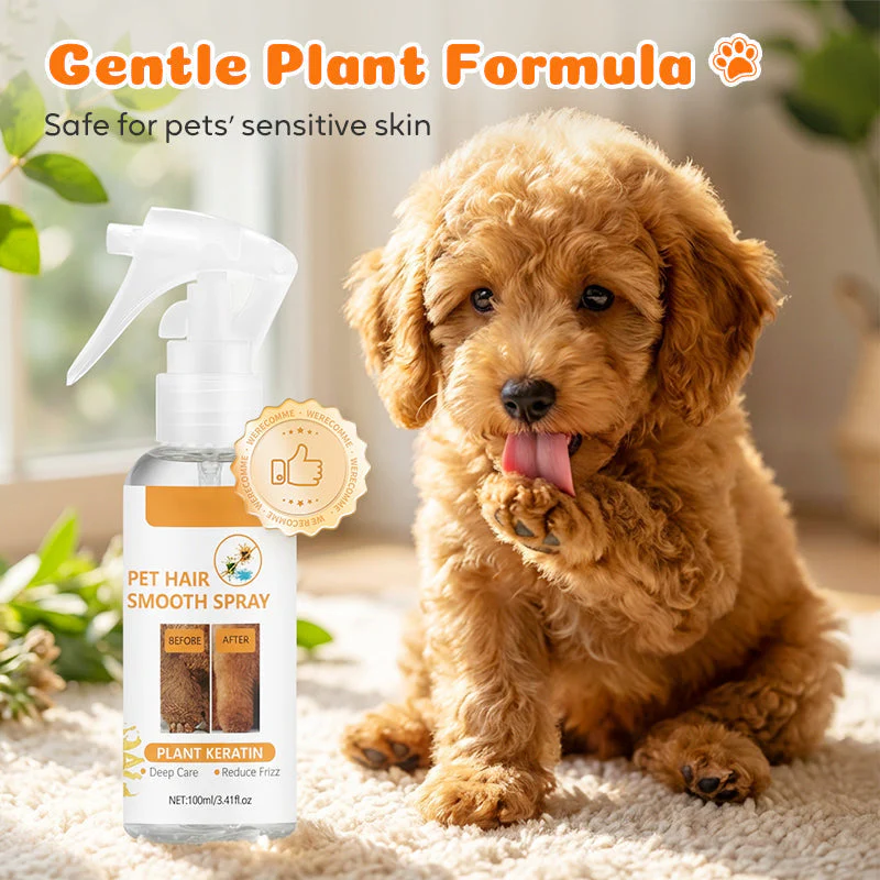 🔥Desconto de 50% no último dia!🔥Pet Deodorizing & Detangling Spray - Image 5