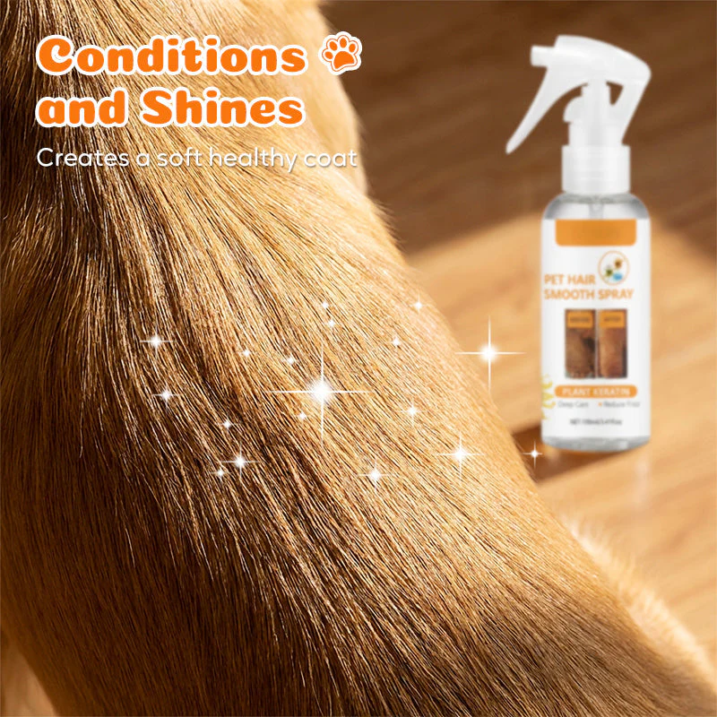 🔥Desconto de 50% no último dia!🔥Pet Deodorizing & Detangling Spray - Image 7
