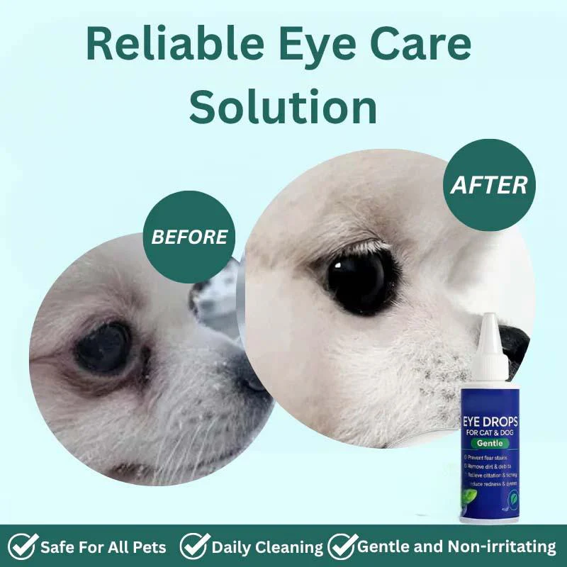 Pet Eye Drops for Dogs & Cats - Image 3
