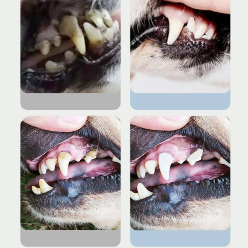 Pet Oral Care Spray for Dogs & Cats - Image 3