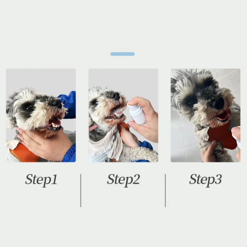 Pet Oral Care Spray for Dogs & Cats - Image 6