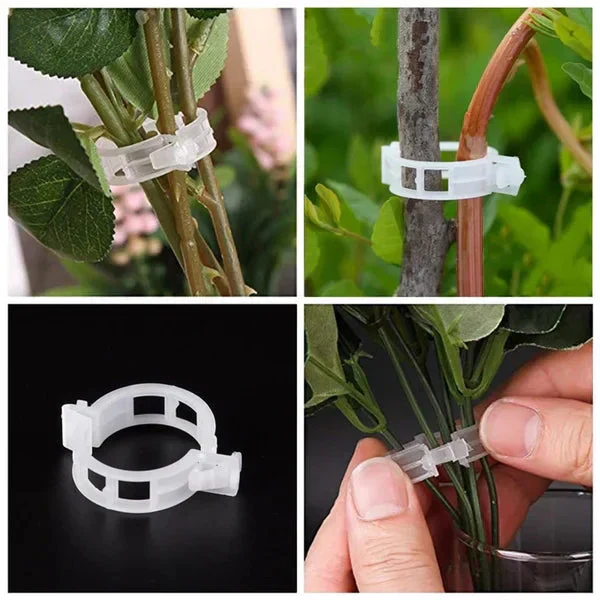 🗜️Clips For Climbing Plants – Plastic tomato ties and plant fasteners 🌱🍅 - Image 10
