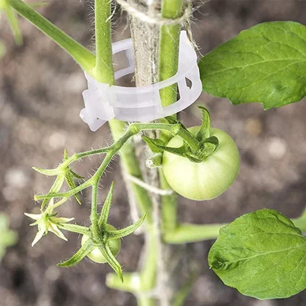 🗜️Clips For Climbing Plants – Plastic tomato ties and plant fasteners 🌱🍅 - Image 4