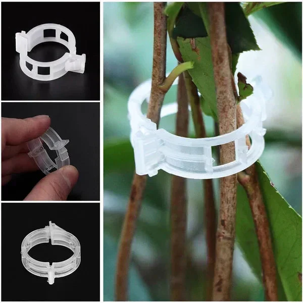 🗜️Clips For Climbing Plants – Plastic tomato ties and plant fasteners 🌱🍅 - Image 5