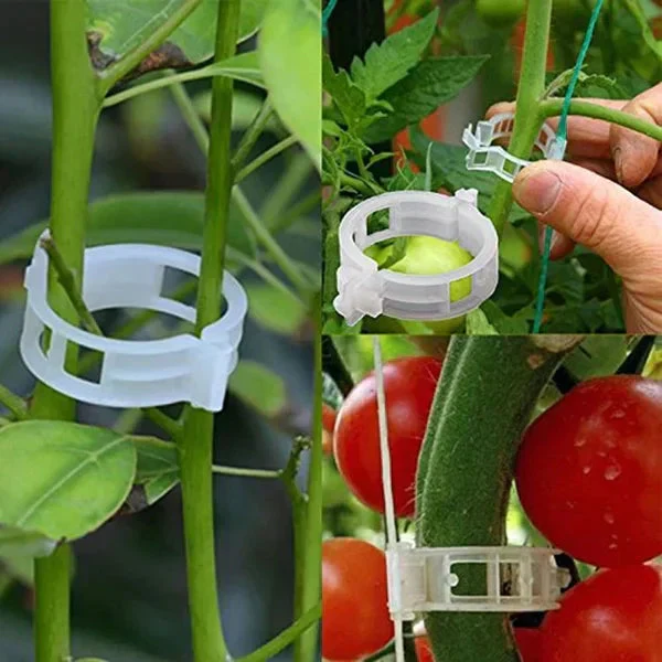 🗜️Clips For Climbing Plants – Plastic tomato ties and plant fasteners 🌱🍅 - Image 6