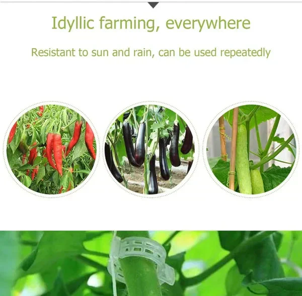 🗜️Clips For Climbing Plants – Plastic tomato ties and plant fasteners 🌱🍅 - Image 8