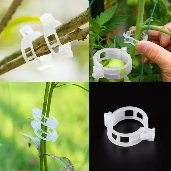 🗜️Clips For Climbing Plants – Plastic tomato ties and plant fasteners 🌱🍅 - Image 9