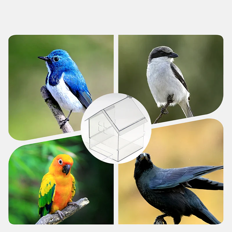 Pull-Out External Parrot Feeder - Image 7
