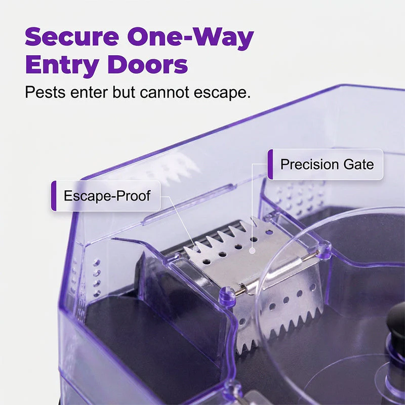 ♻️💐High-Efficiency Reusable Roach Trap – Eco-Friendly, Safe, Easy To Clean, Reusable Household Pest Catcher - Image 6