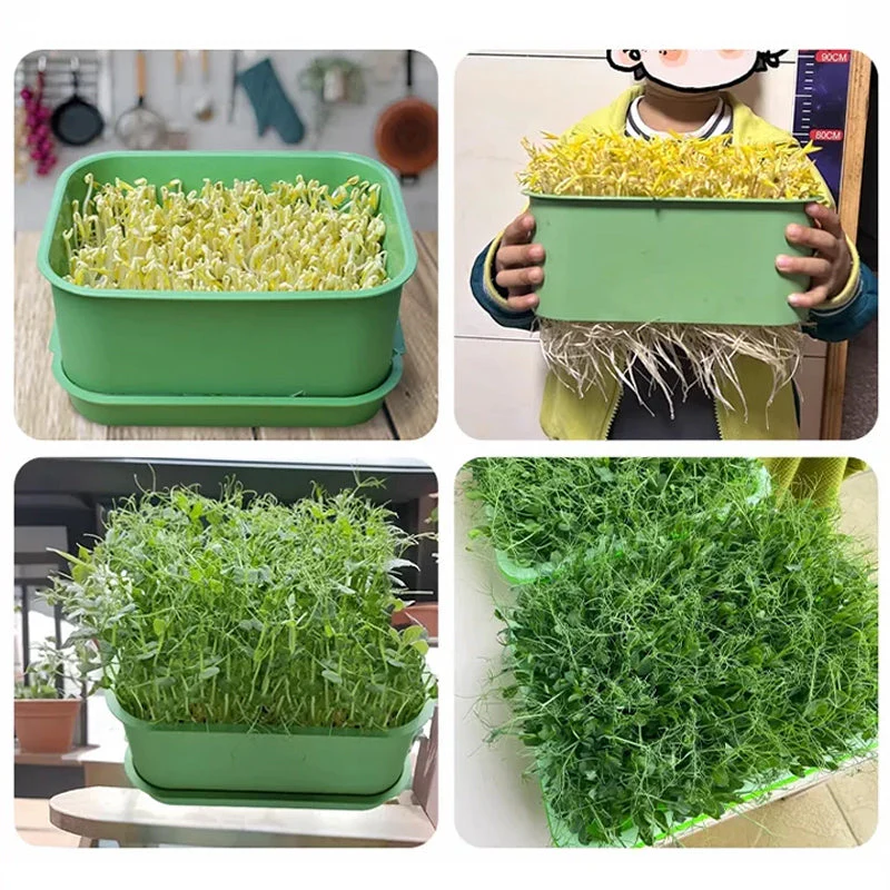 🔥Stackable Bean Sprout Growing Box - Multi-layer Design, Perfect for Home Cultivation, Healthy Green Living! - Image 2