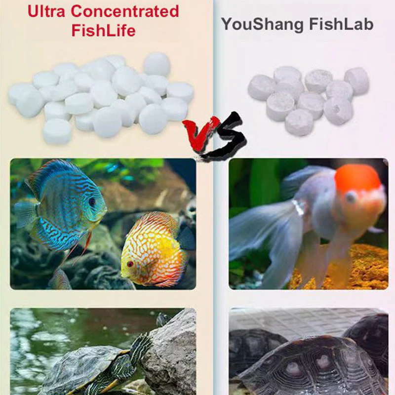 🌊 Ultimate Aquarium Water Stabilizer – Clean, Safe, Instant!🐠 - Image 12
