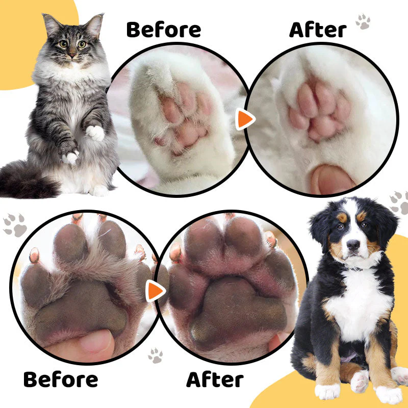 🎉⏰ Limited-time offer today only! 💥⏳Waterproof Rechargeable Pet Shaver with LED Light - Image 4