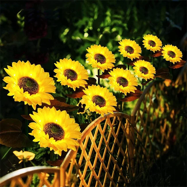 💐50% OFF ! Sunflower Solar Lights – Glowing Garden Decor 🌻🌙【Limited Offer】 - Image 2